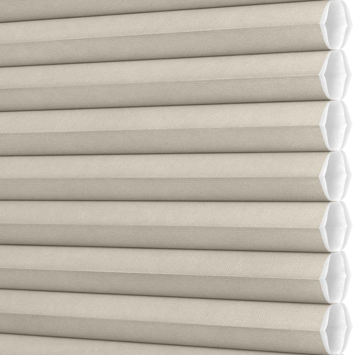 Aged Beige - Image 3