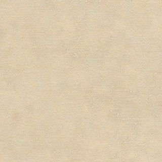 Beach Shells - Image 1