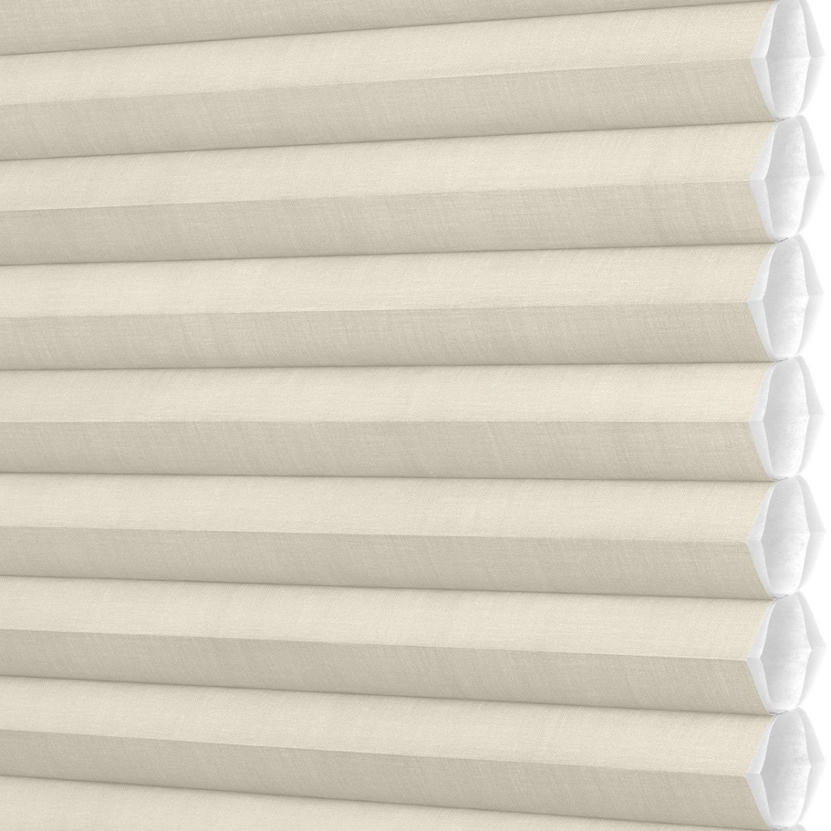 Birch Bark - Image 3