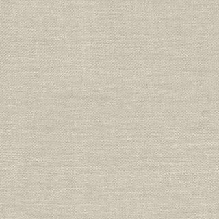 Birch Bark - Image 1