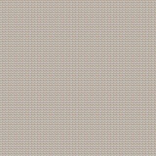 Coconut Husk - Image 1