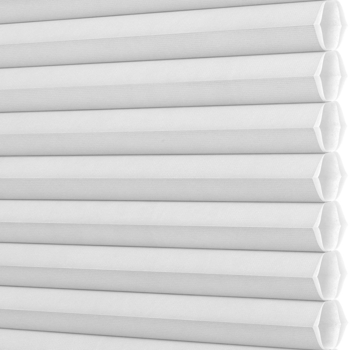 Daisy White - Image 3