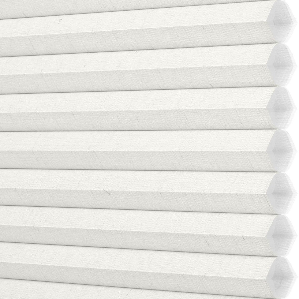 Daisy White - Image 3