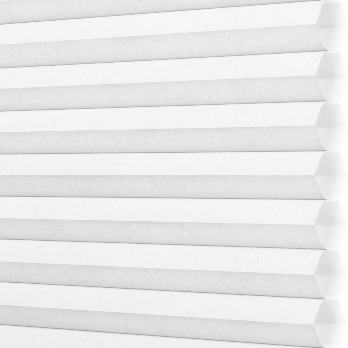 Daisy White - Image 3