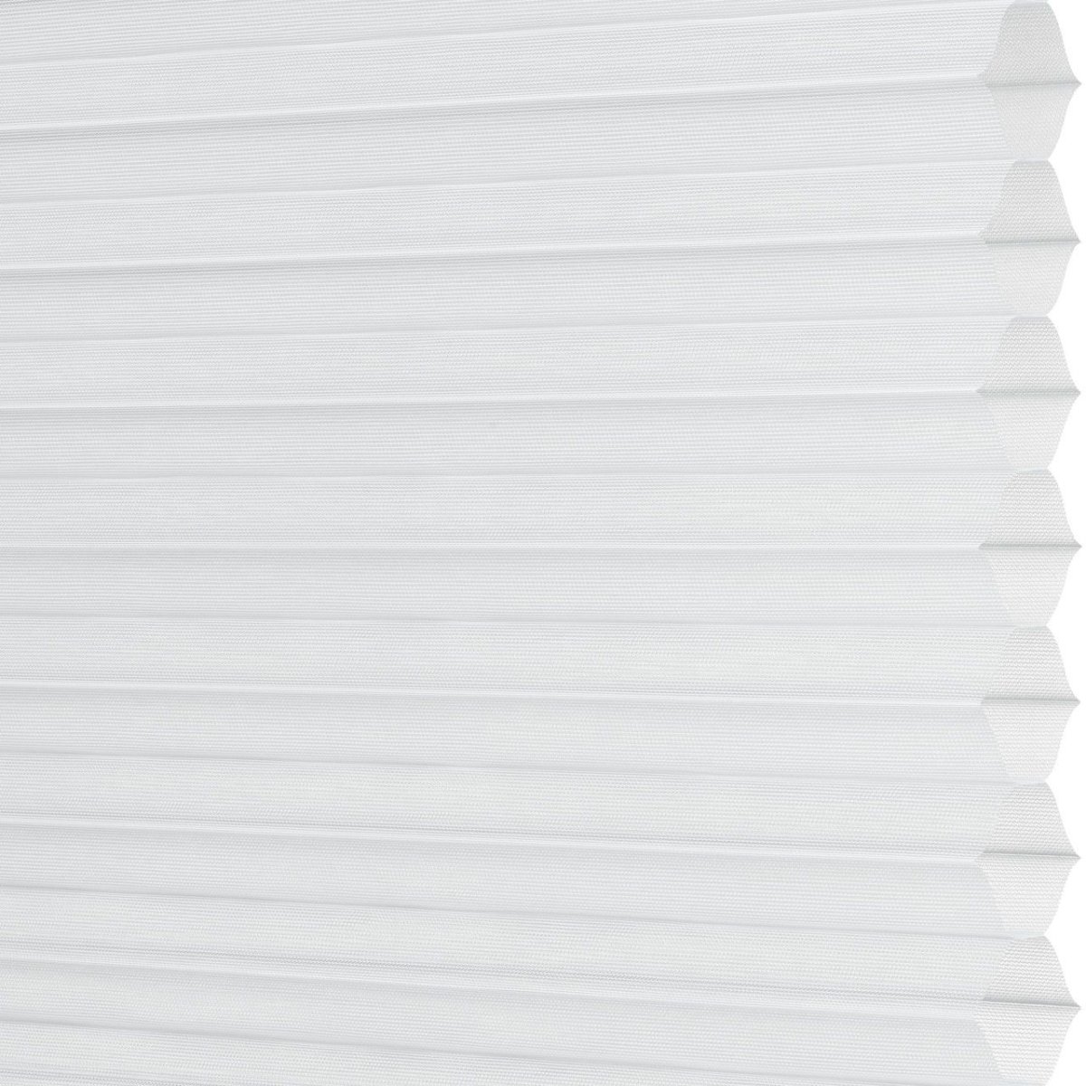 Daisy White - Image 3