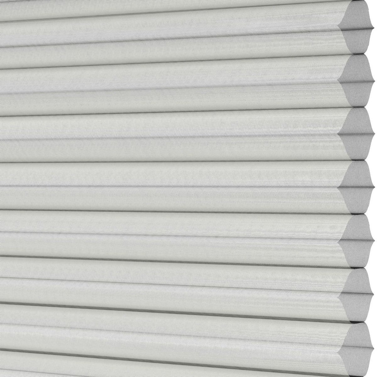 Daisy White - Image 3