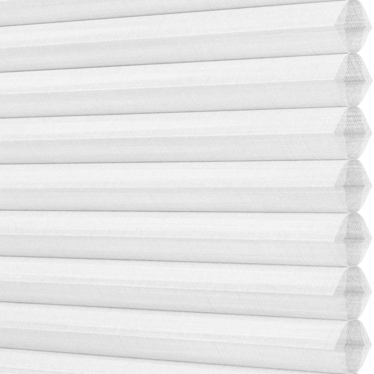 Daisy White - Image 3