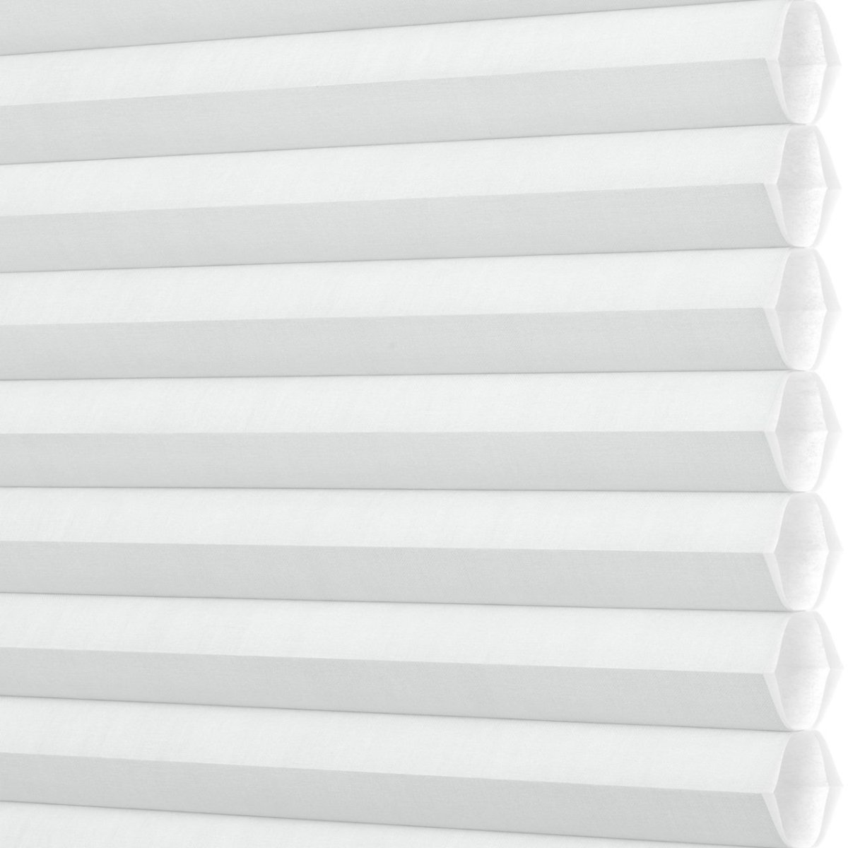 Daisy White - Image 3