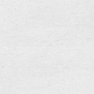 Daisy White - Image 1