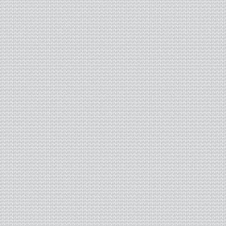 Daisy White - Image 1