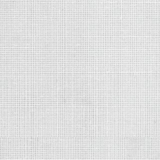 Daisy White - Image 1