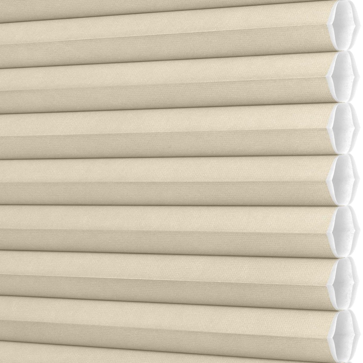 Desert Sands - Image 3