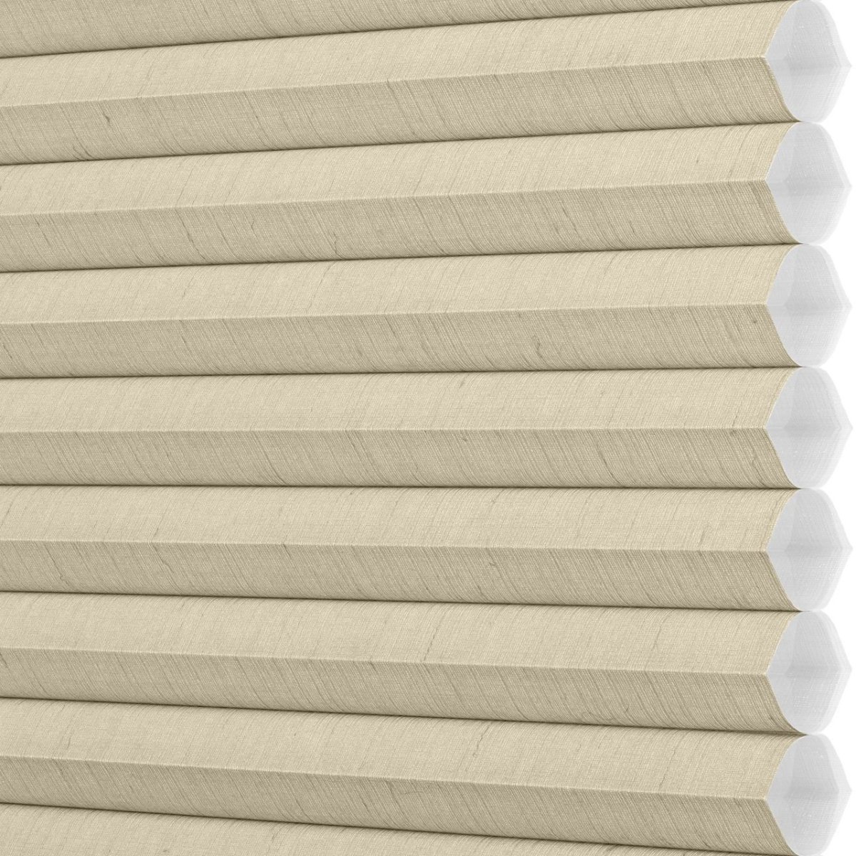 Desert Sands - Image 3