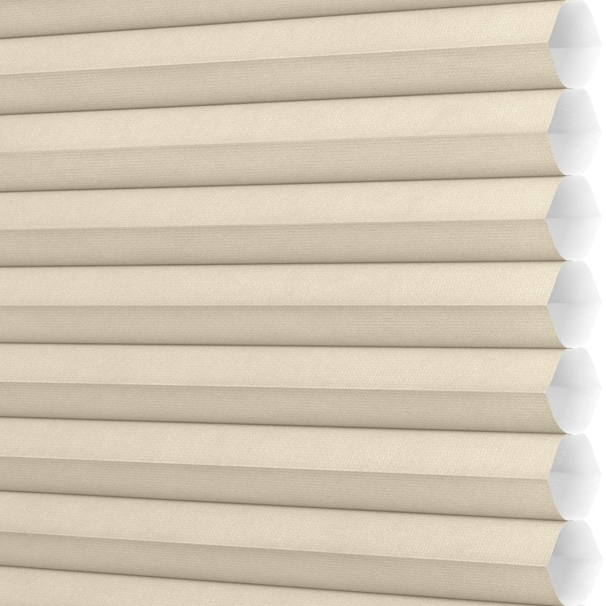 Desert Sands - Image 3