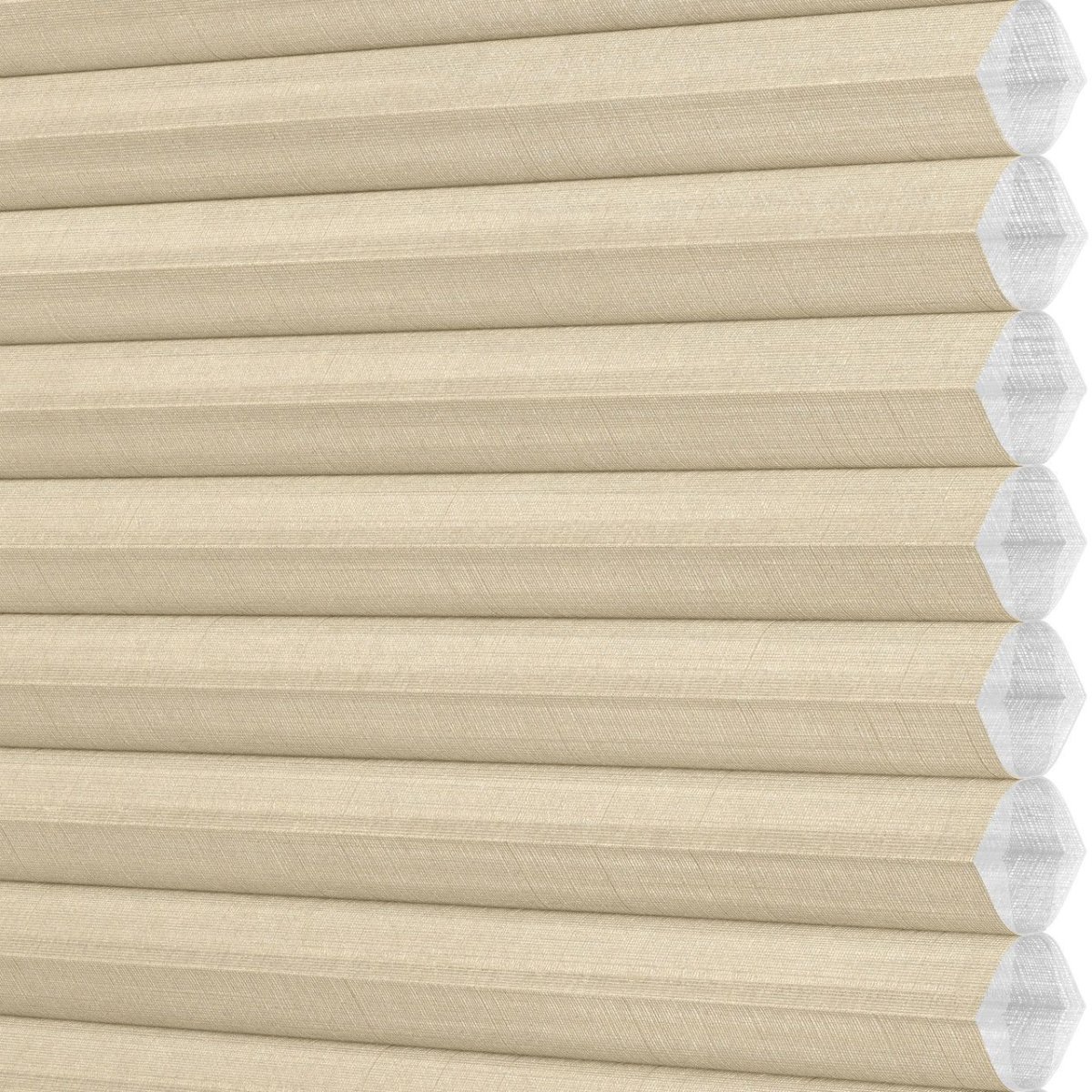 Desert Sands - Image 3