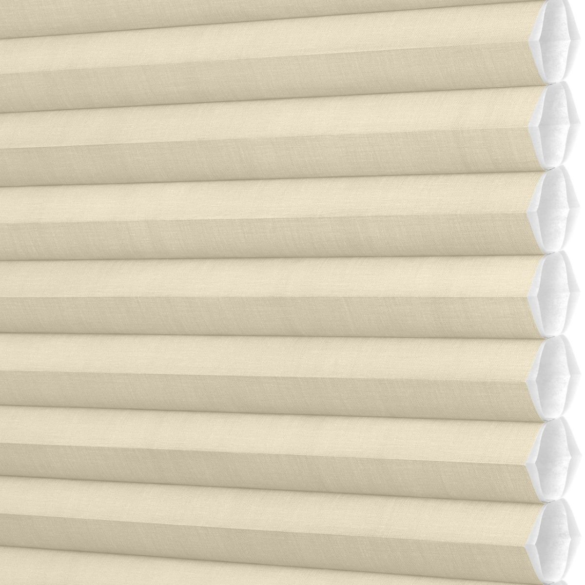 Desert Sands - Image 3