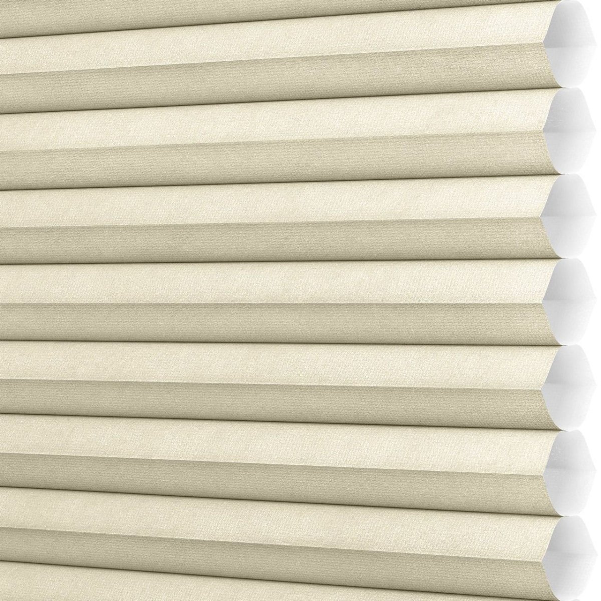 Freshwater Pearl - Image 3