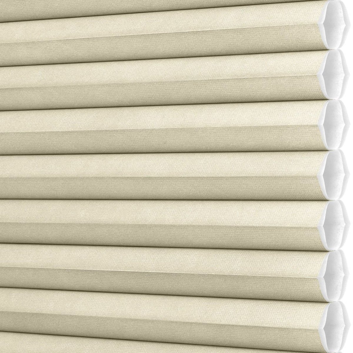 Freshwater Pearl - Image 3