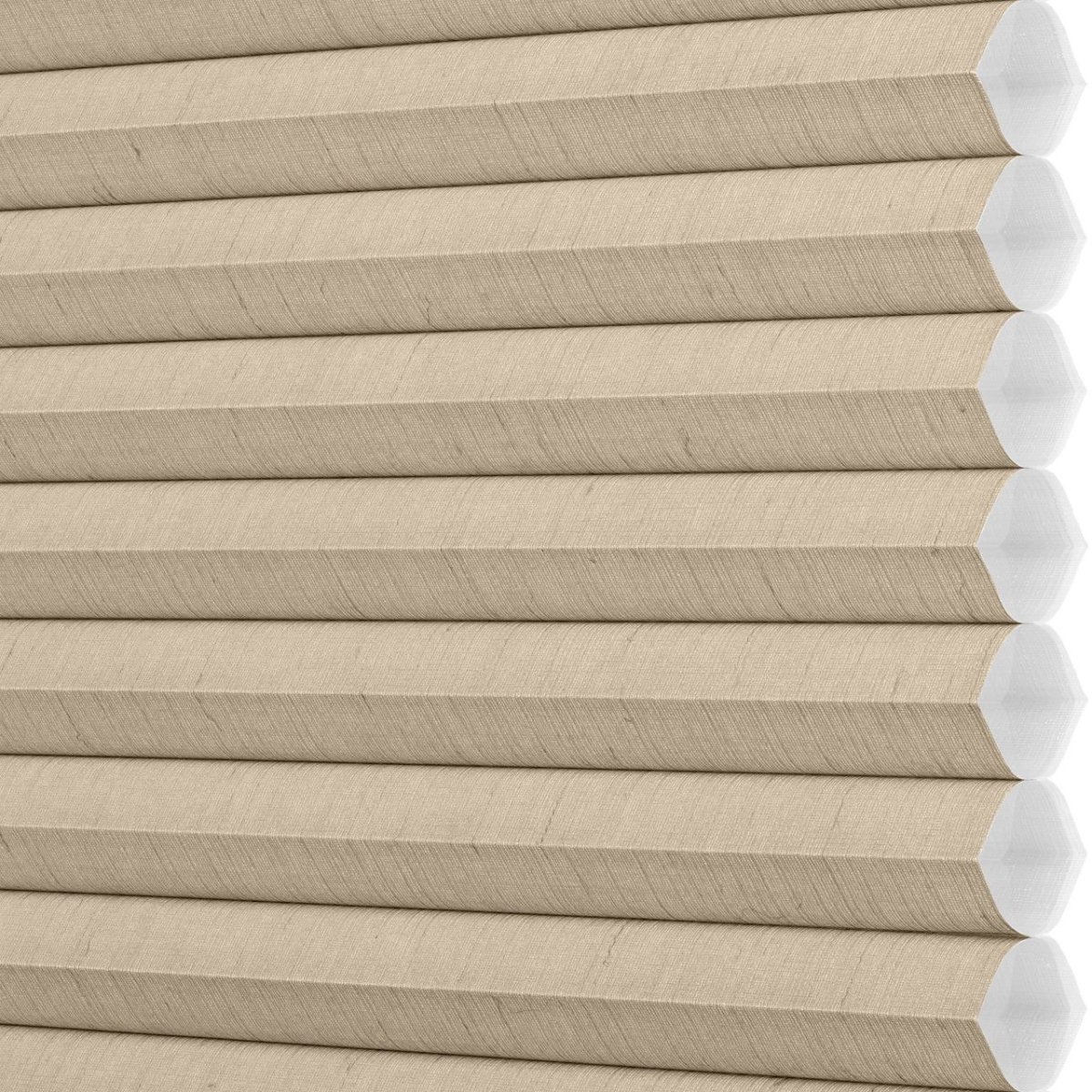 Gingersnap - Image 3