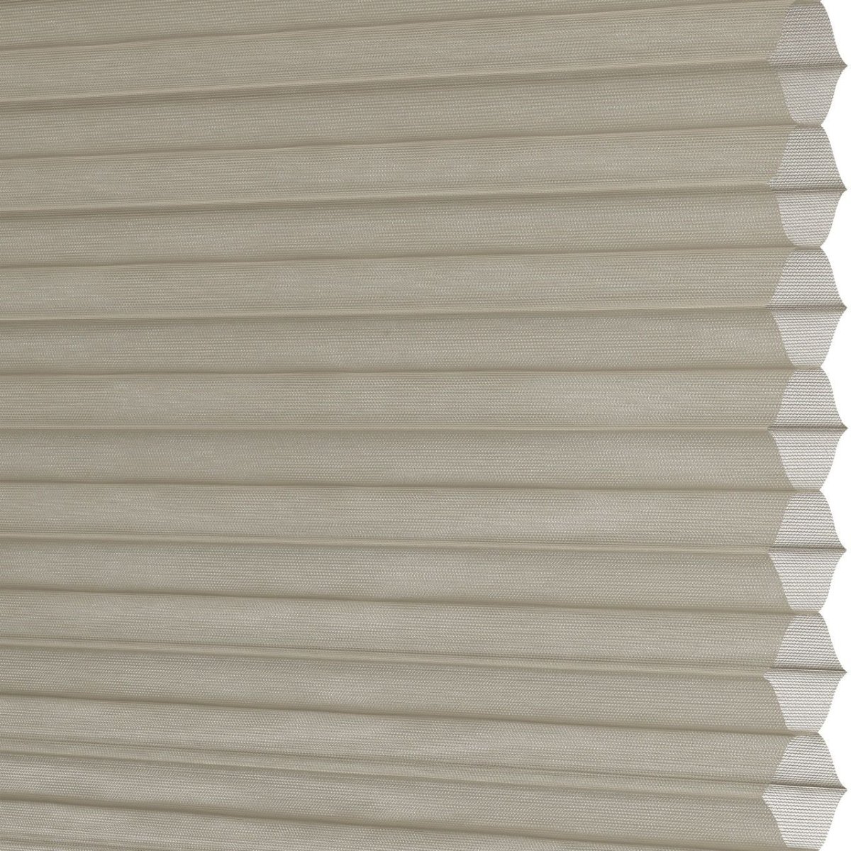 Gingersnap - Image 3