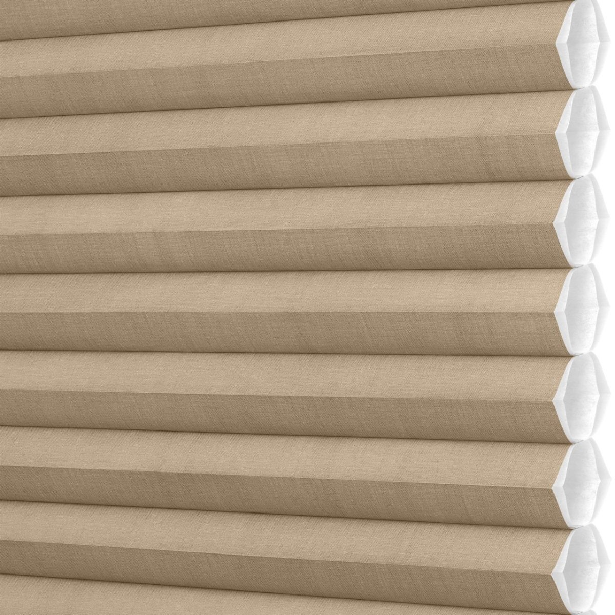 Gingersnap - Image 3