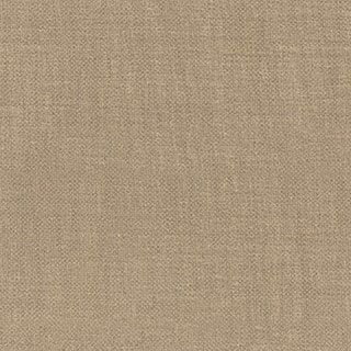 Gingersnap - Image 1