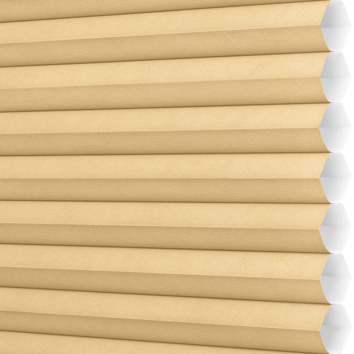 Renaissance Gold - Image 3