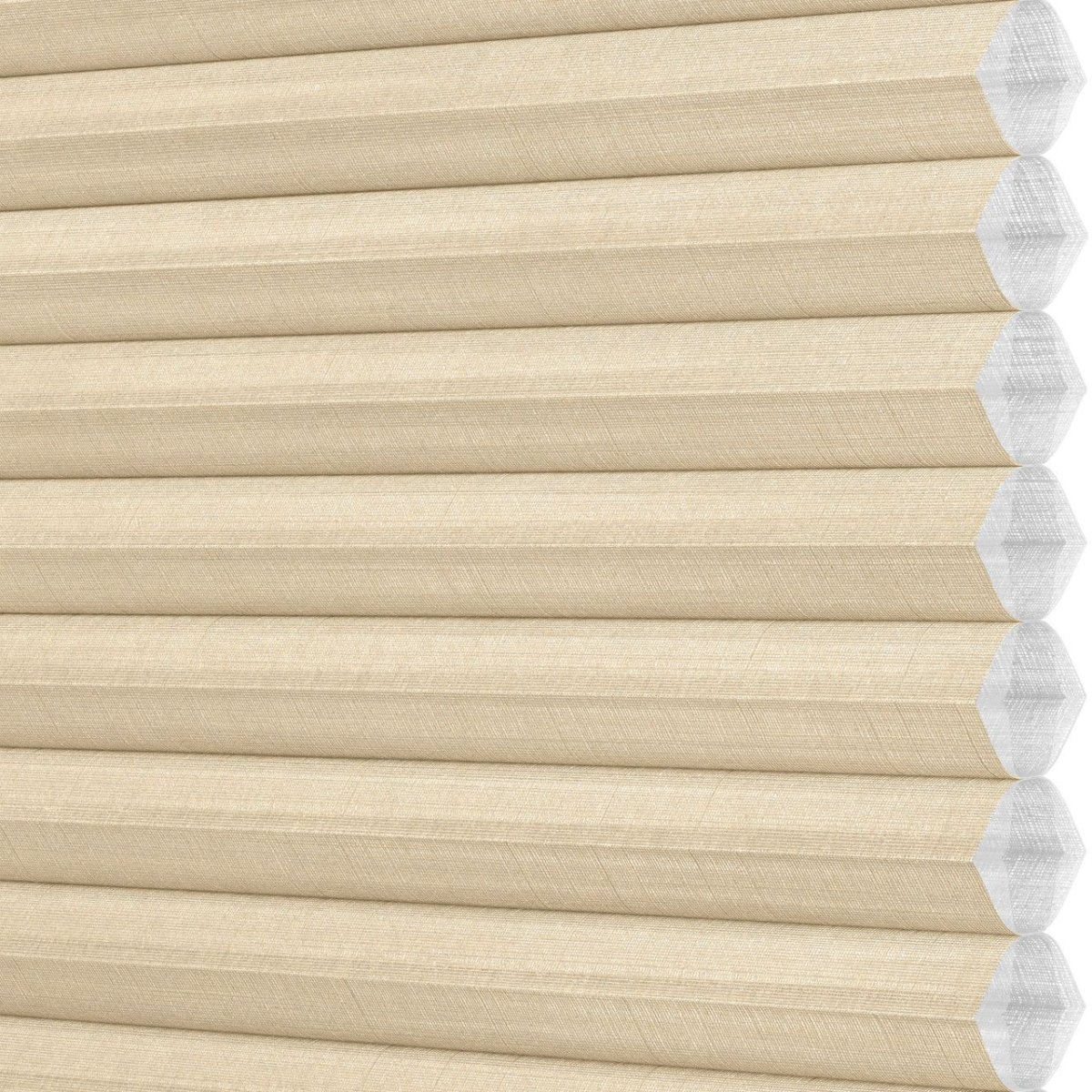 Renaissance Gold - Image 3