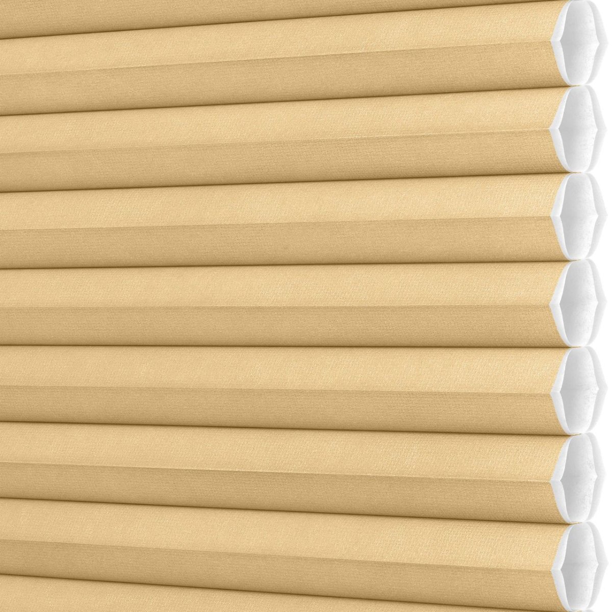 Renaissance Gold - Image 3