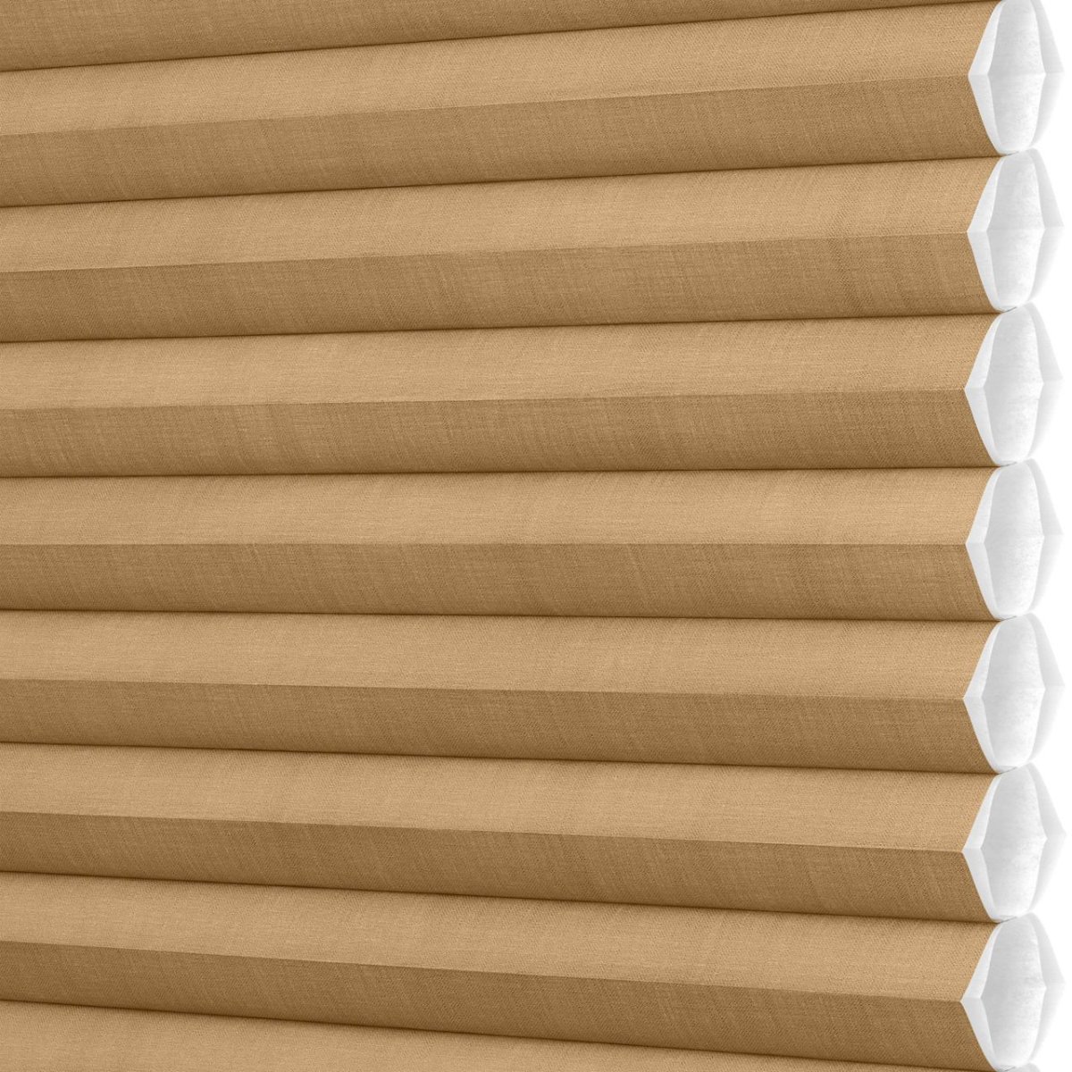 Toasted Almond - Image 3