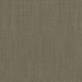 Volcanic Ash - Image 1