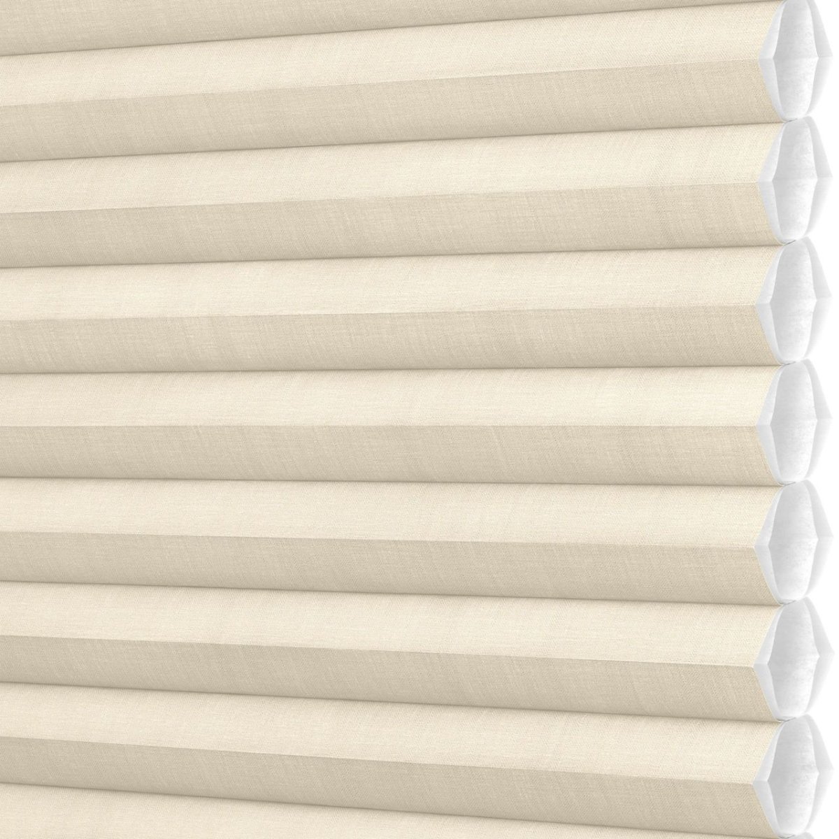 Whipped Cream - Image 3