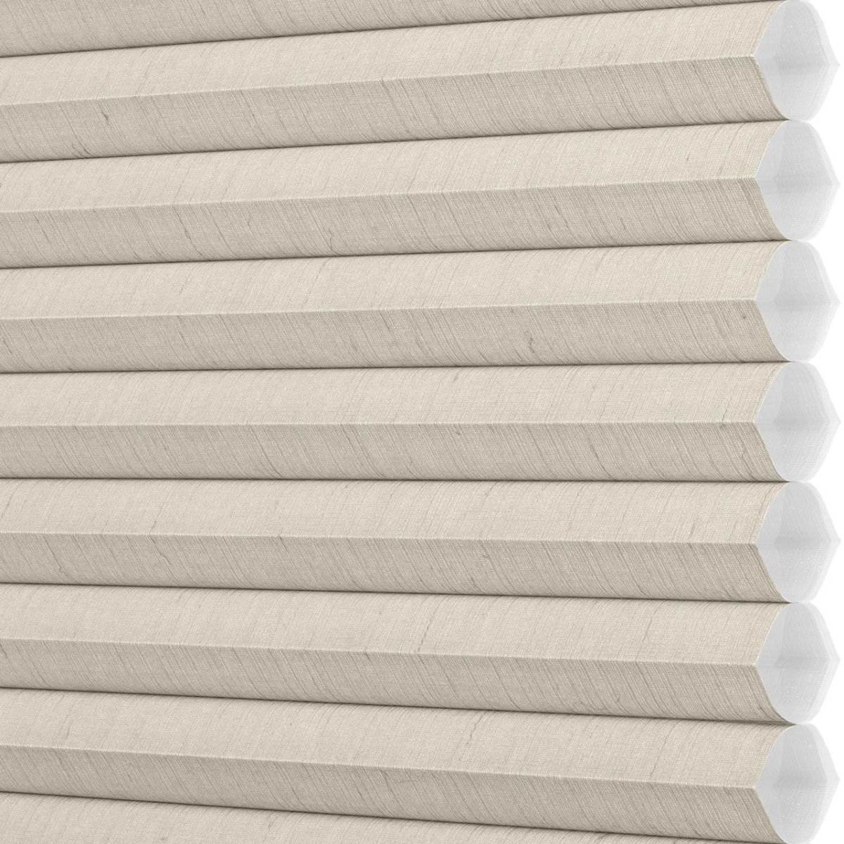 White Truffle - Image 3