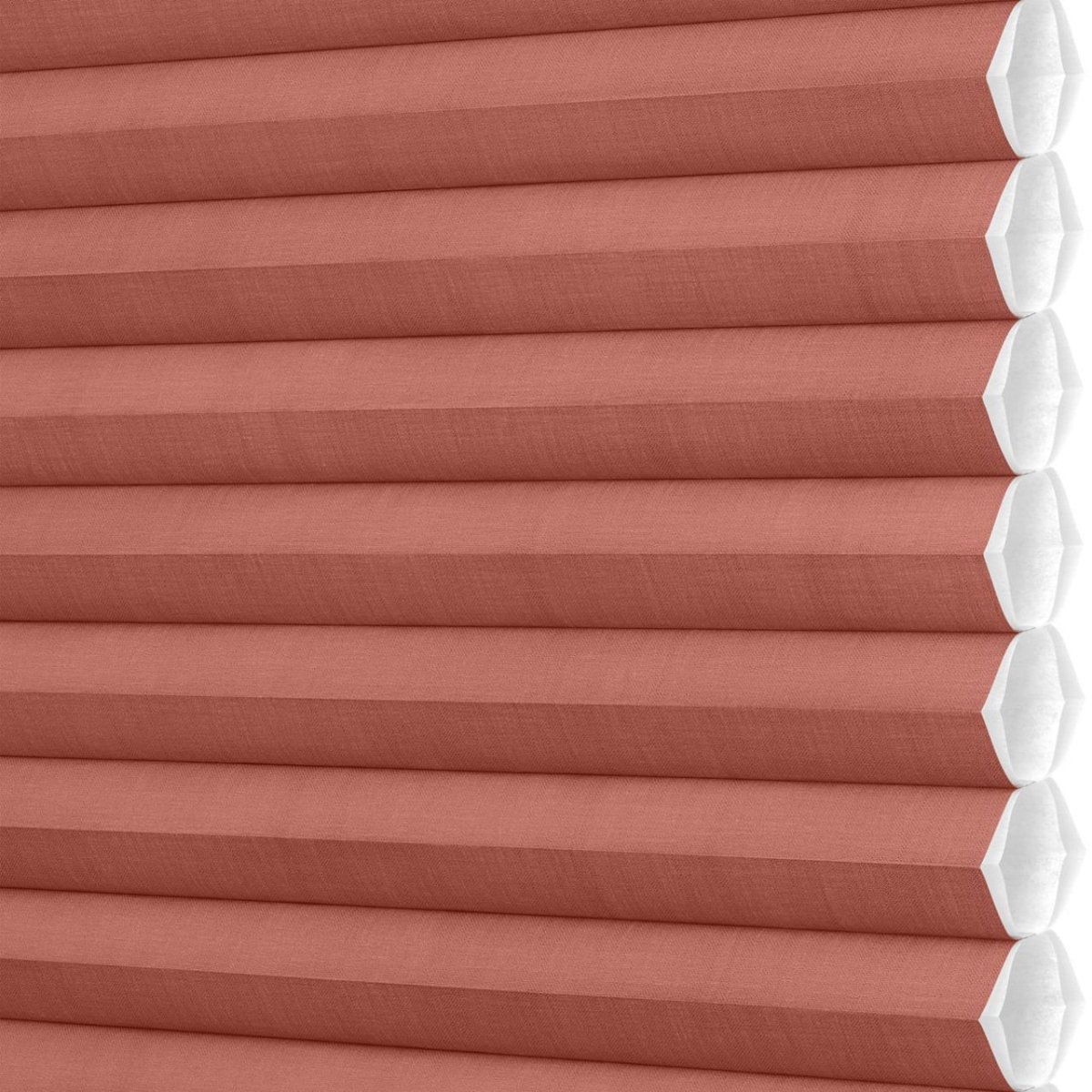 Wild Berry - Image 3