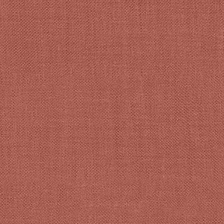 Wild Berry - Image 1