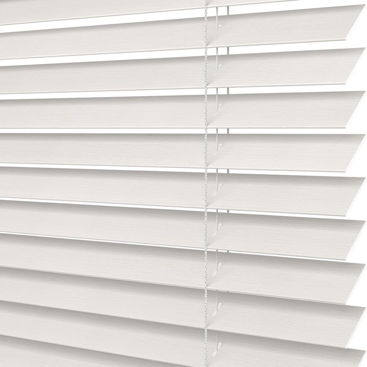 Sand Dollar Streaked - Image 3