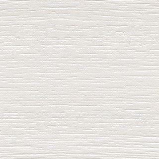 Sand Dollar Streaked - Image 1