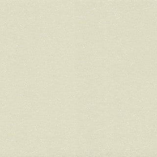 White Birch - Image 1