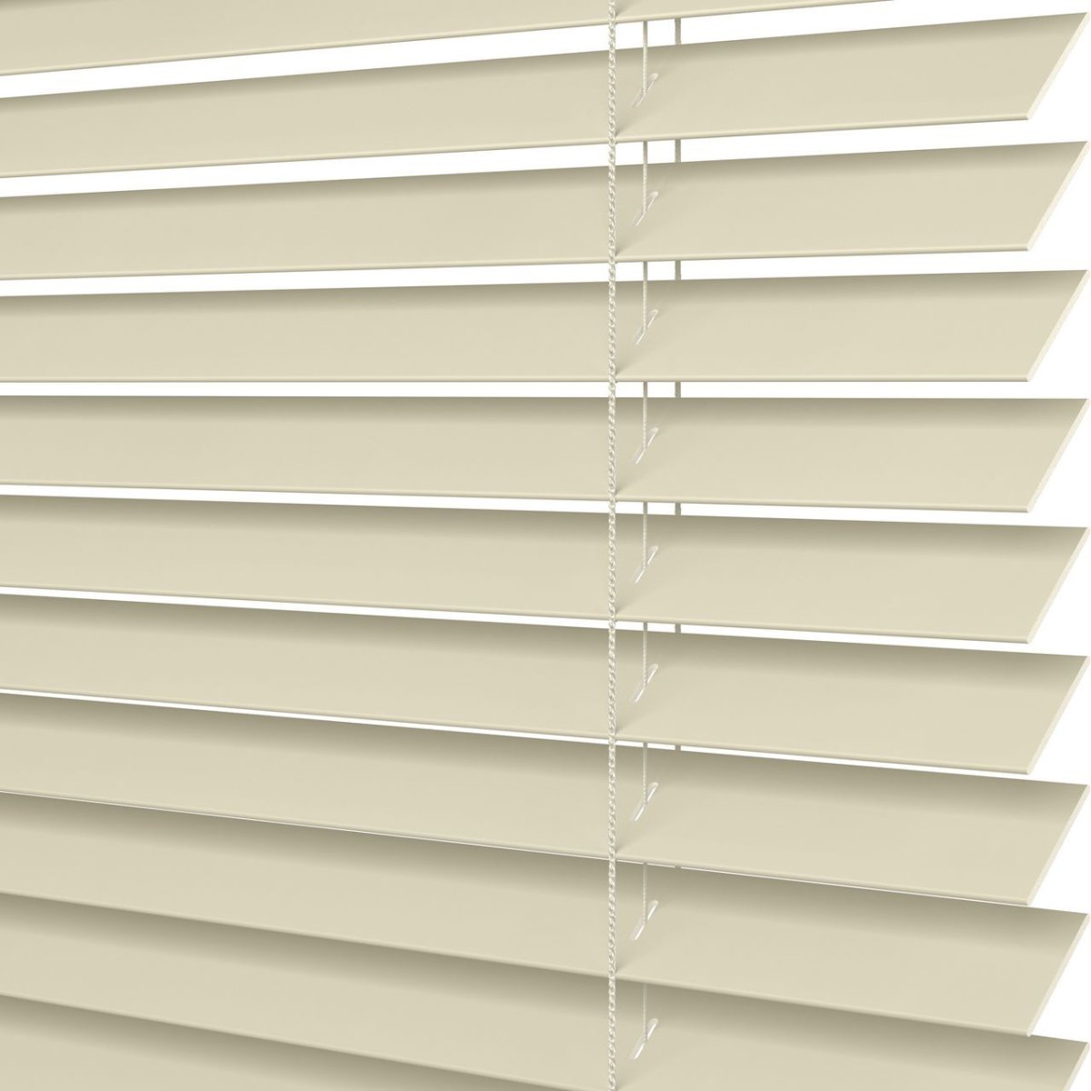 Winter White - Image 3