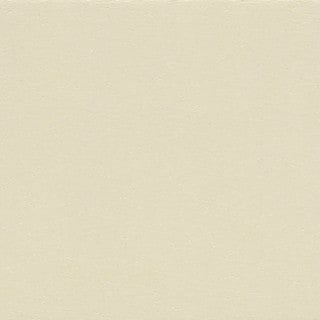 Winter White - Image 1