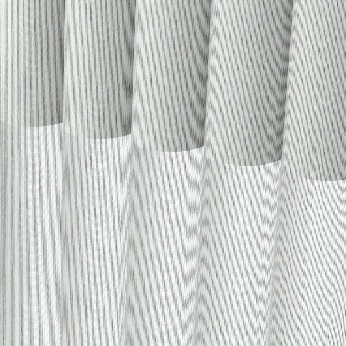 Blue Agave - Image 3