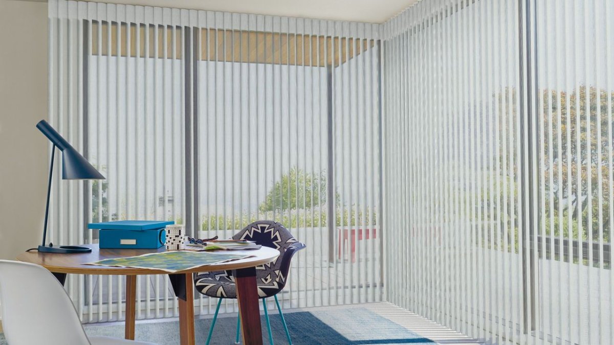 Blue Agave - Image 2