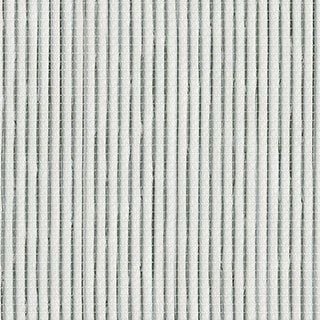 Blue Agave - Image 1