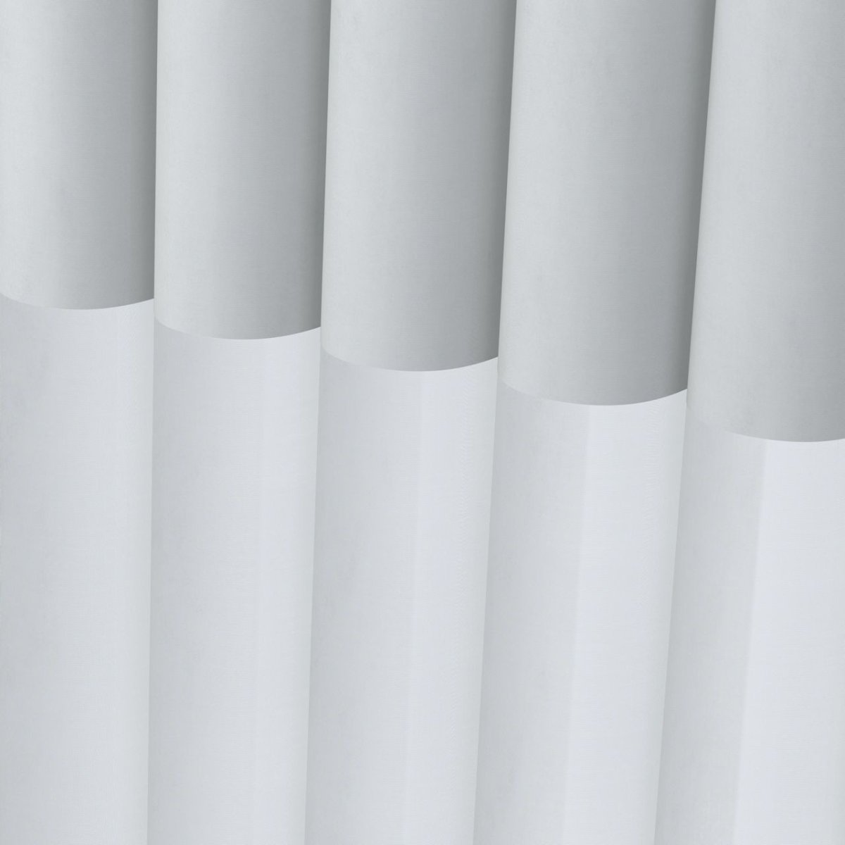 Bluebird Day - Image 3