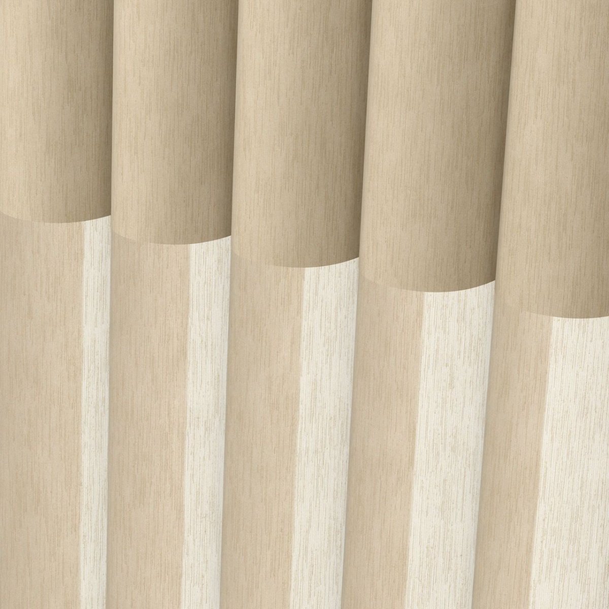 English Chestnut - Image 3