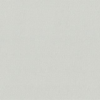 Forest Mist - Image 1