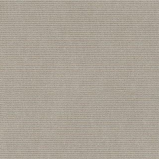 Hickory Ash - Image 1