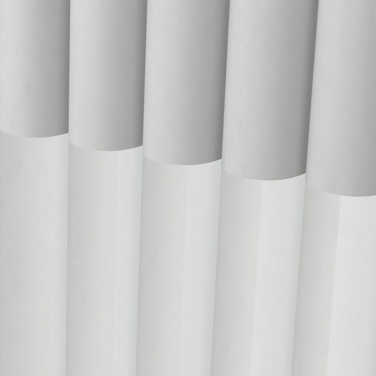 Oystershell - Image 3