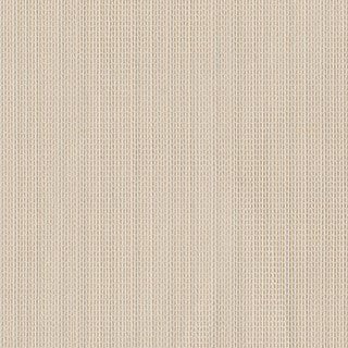 Sand Shimmer - Image 1
