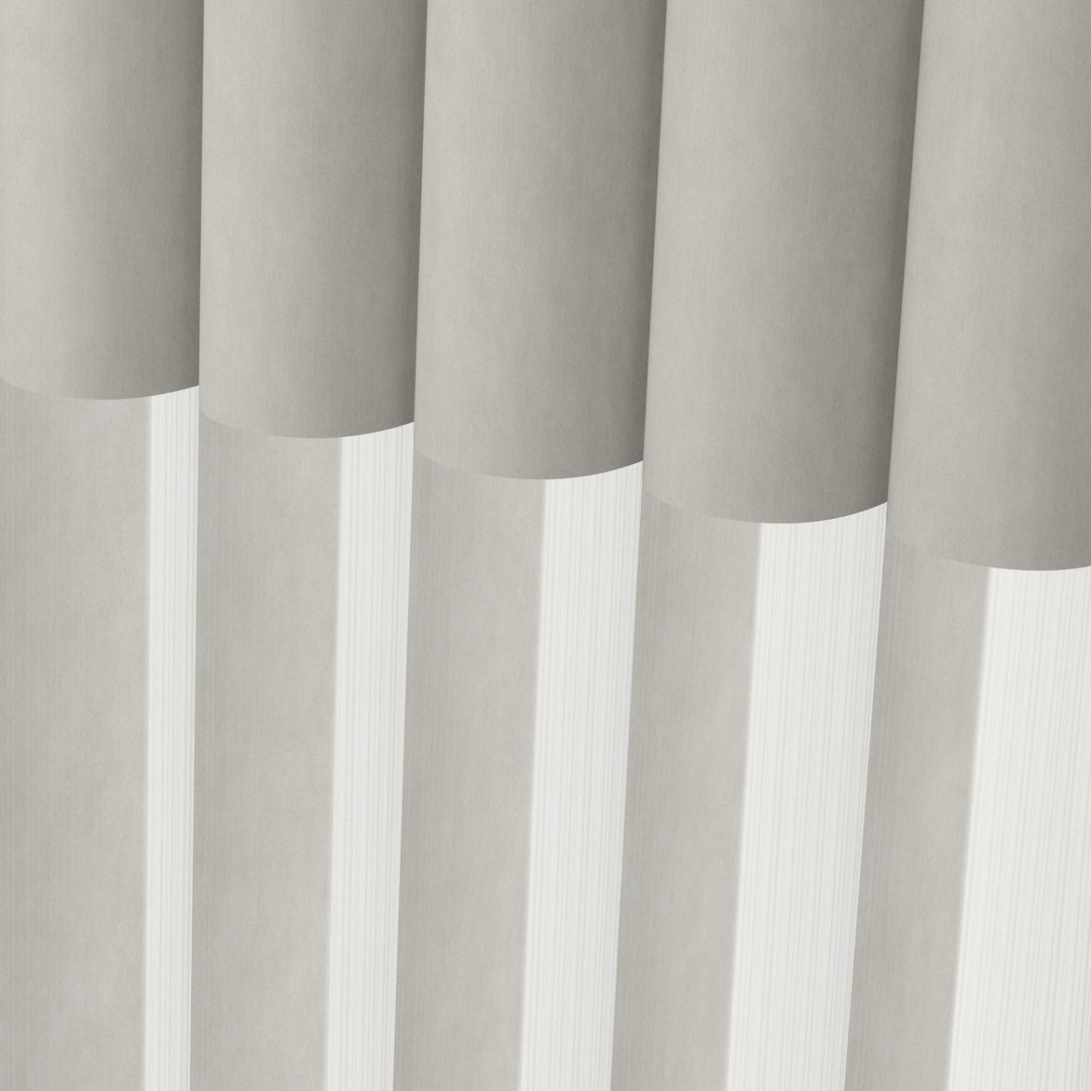 Silver Shine - Image 3